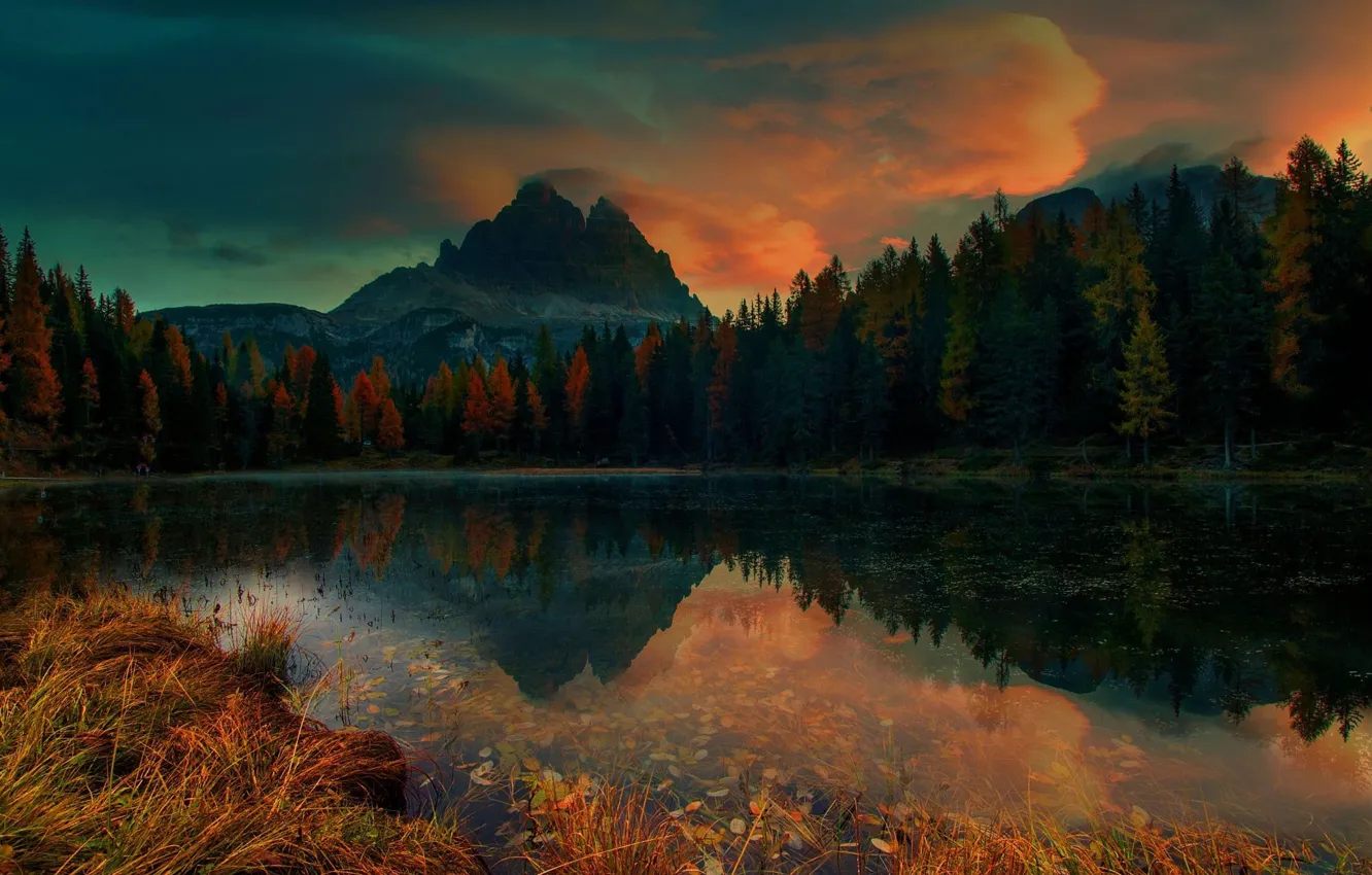 Photo wallpaper forest, mountains, lake, twilight