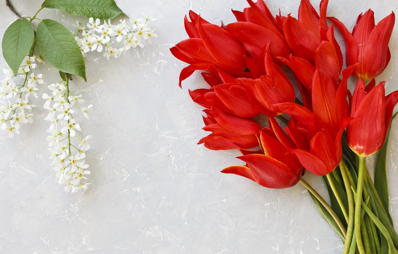 Photo wallpaper flowers, bouquet, tulips, red, red, fresh, flowers, tulips