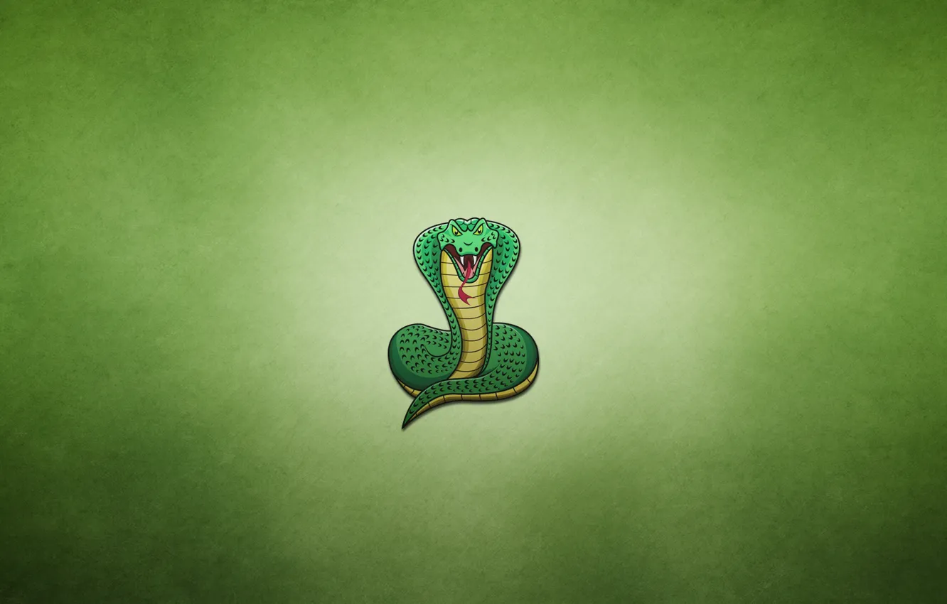 Photo wallpaper snake, minimalism, Cobra, snake, cobra, greenish background, fat