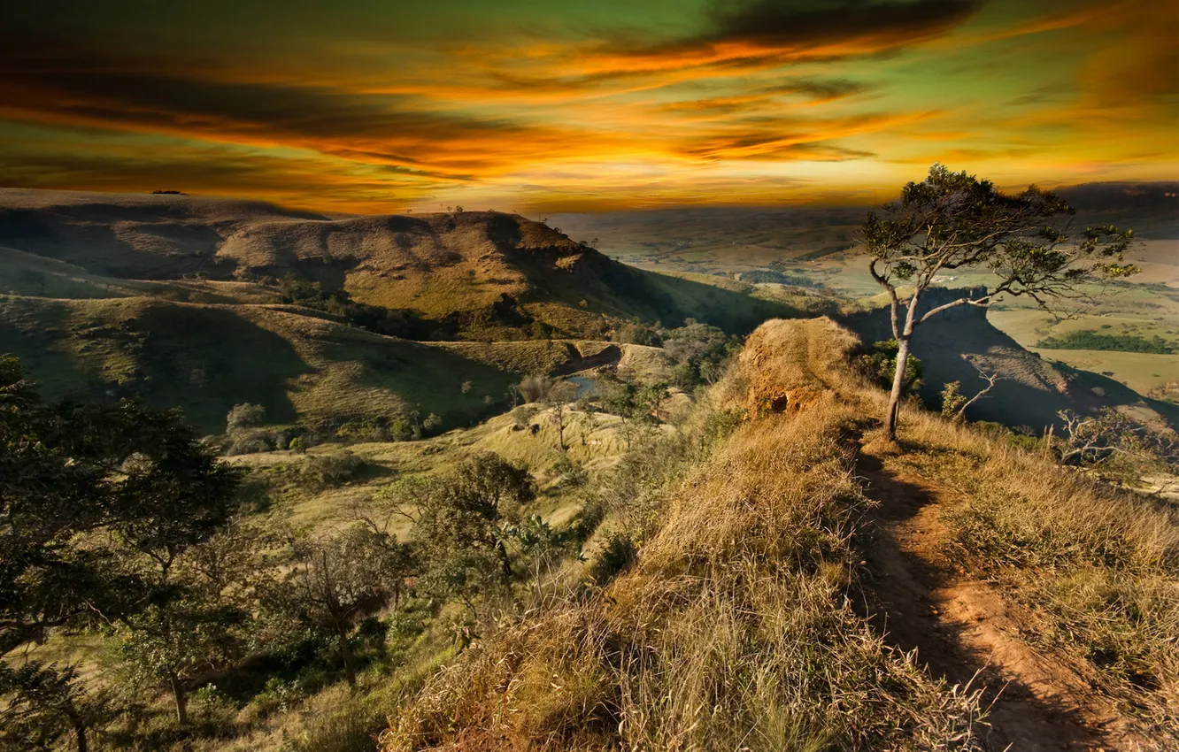 Photo wallpaper the sky, trees, hills