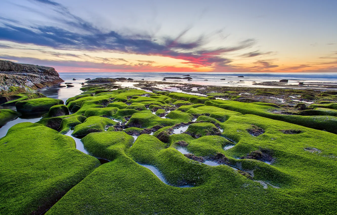 Photo wallpaper sea, stones, moss, United States, California, San Diego, Draper Villas