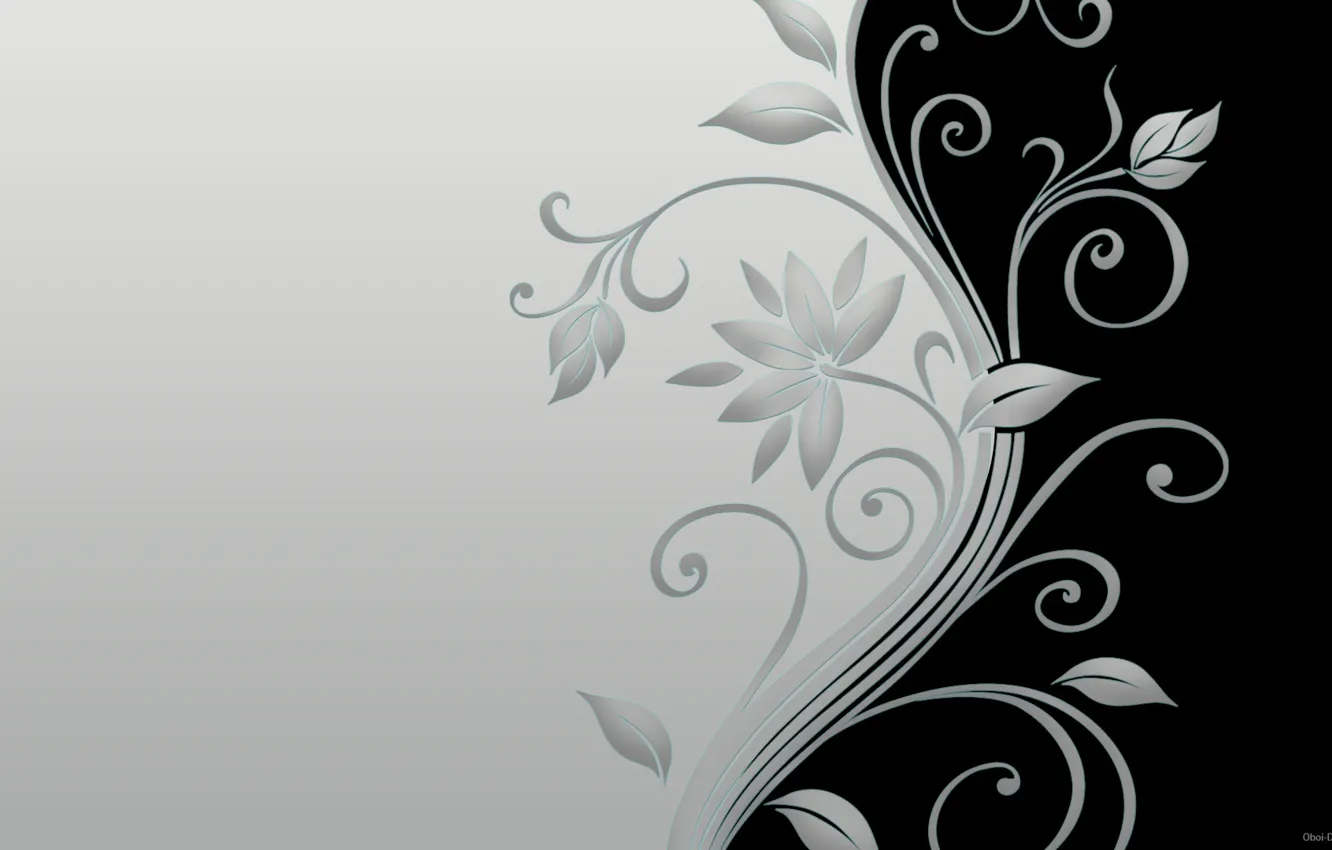 Photo wallpaper leaves, flowers, grey, black
