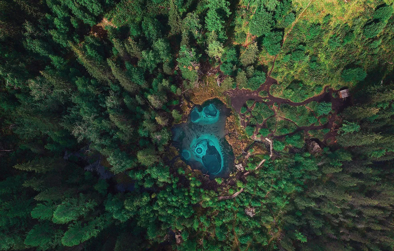 Photo wallpaper forest, blue, water
