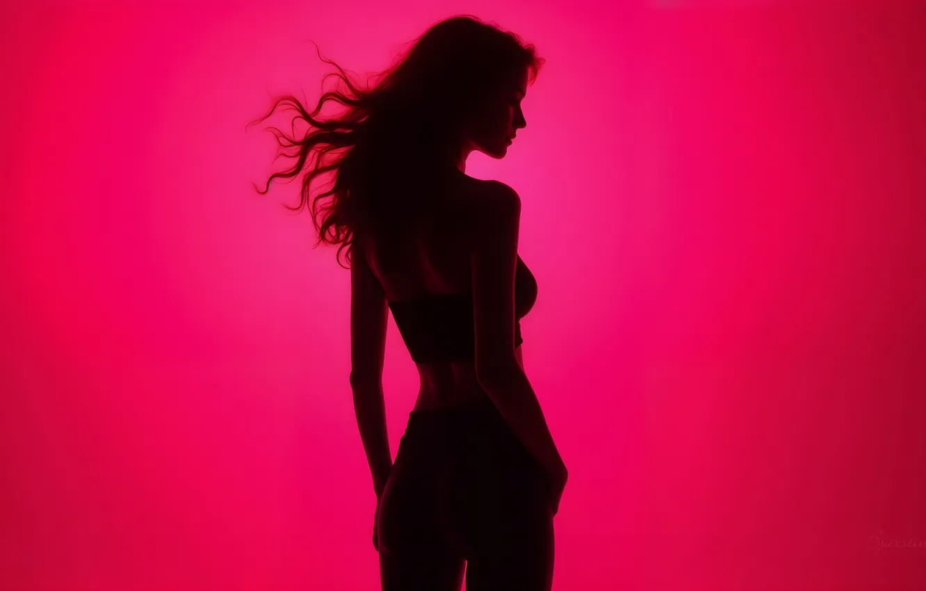 Photo wallpaper chest, girl, figure, silhouette, profile, topic, red background, flowing hair