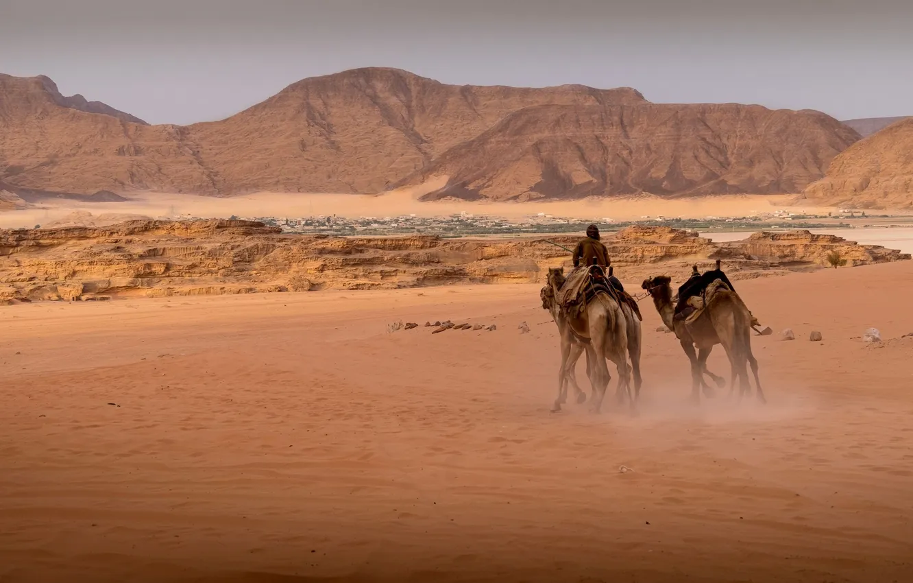 Photo wallpaper sand, rocks, desert, camel, Jordan, Nadezhda Demkina, The Wadi Rum Desert