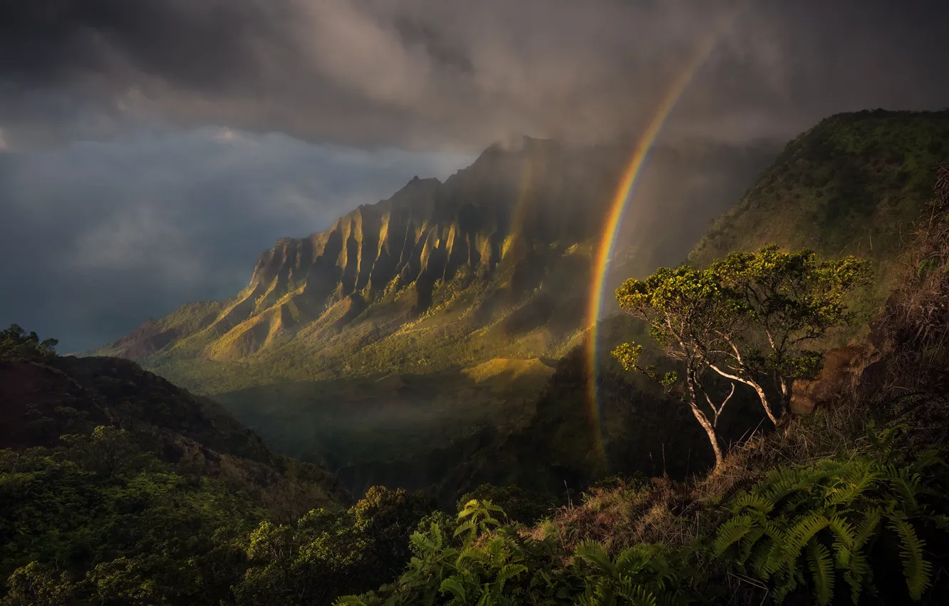 Photo wallpaper mountains, nature, rainbow