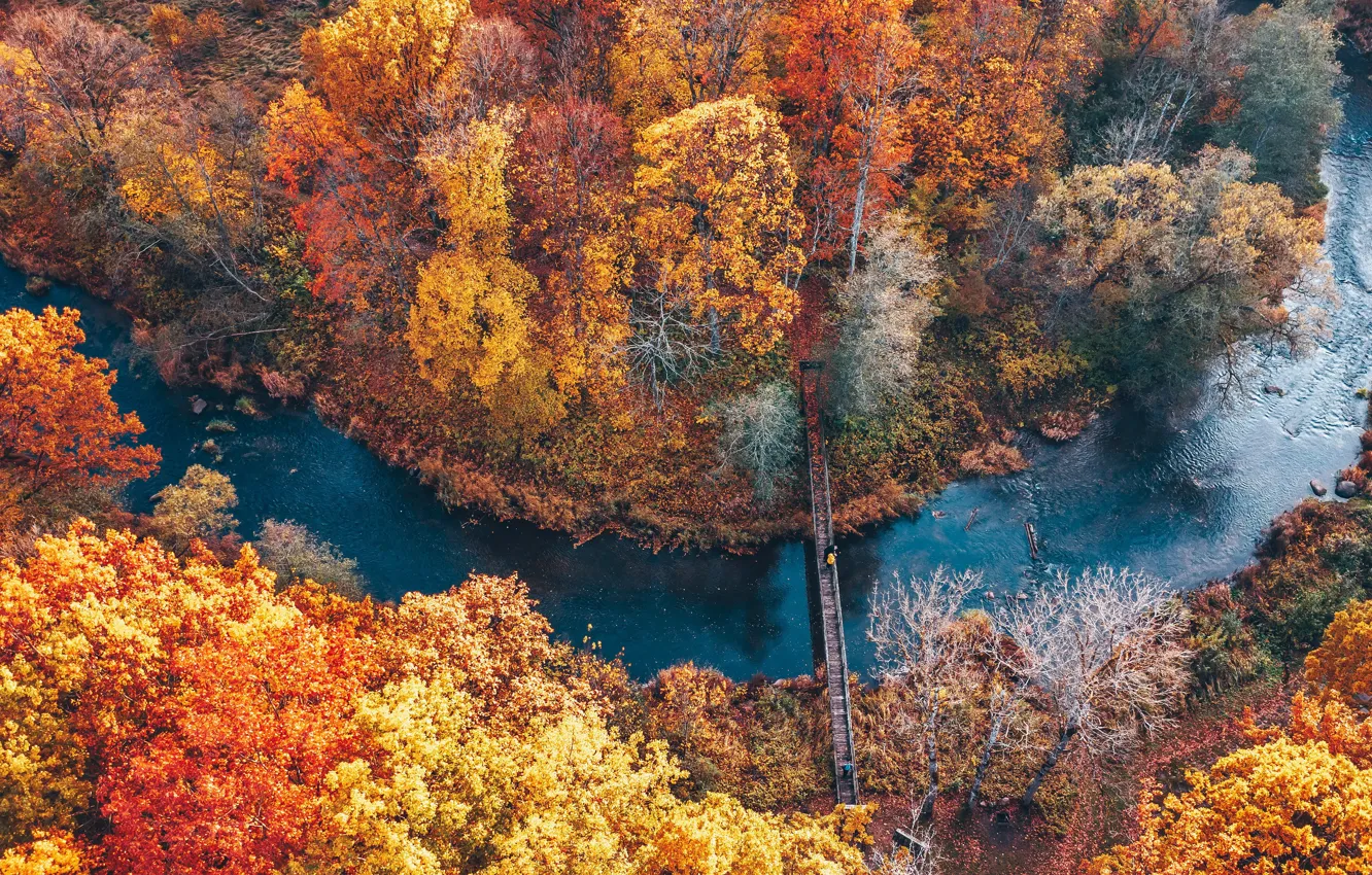 Photo wallpaper autumn, Park, river