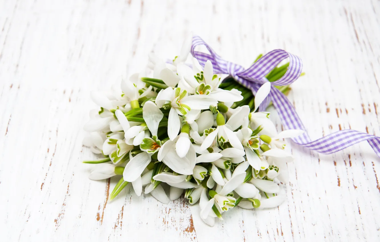 Photo wallpaper flowers, bouquet, snowdrops, white, white, flowers, spring, snowdrops