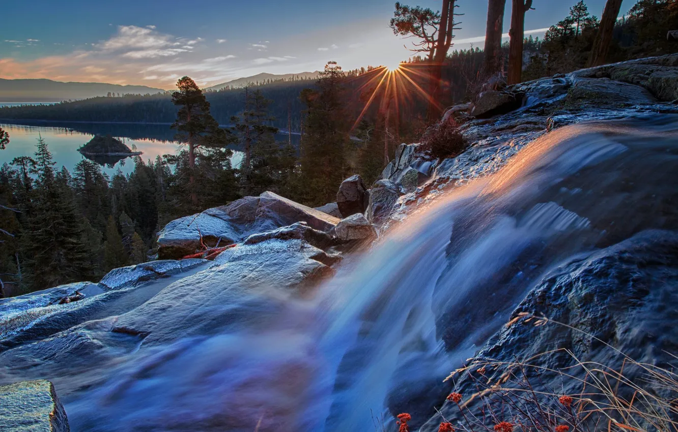 Photo wallpaper forest, the sun, rays, mountains, branches, stones, rocks, shore