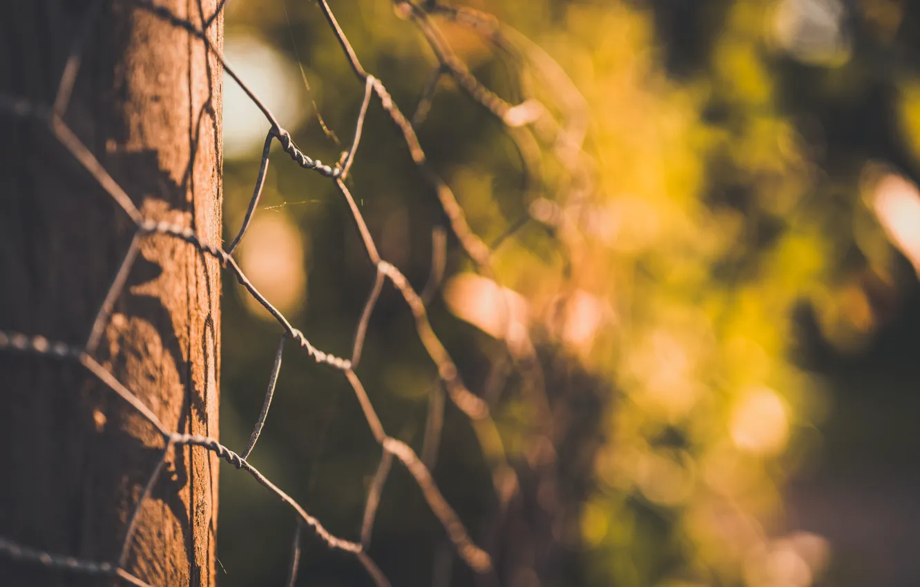 Photo wallpaper macro, background, the fence
