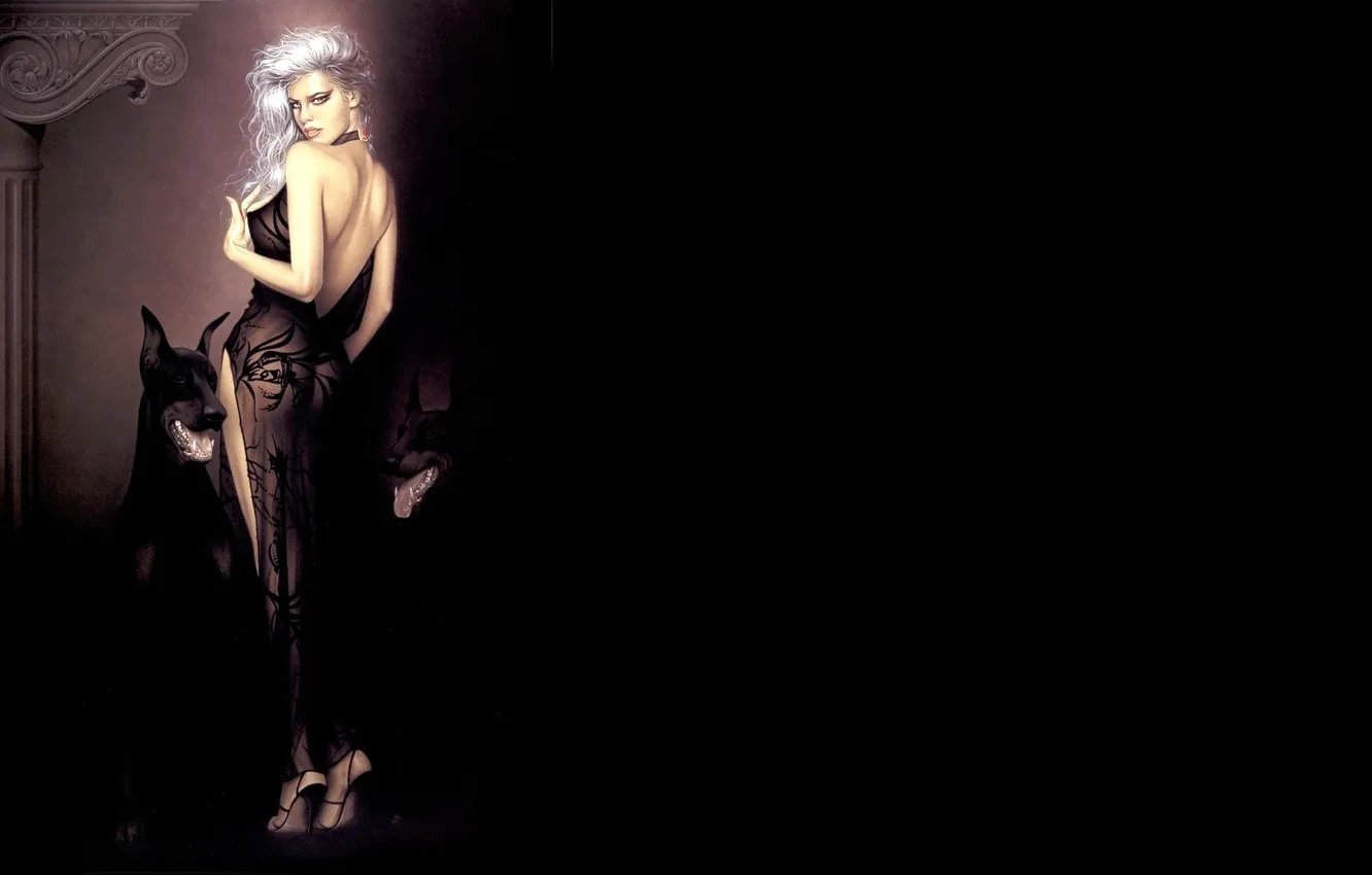 Photo wallpaper transparent, background, black, dog, dress, pair