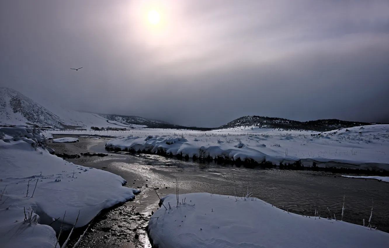 Photo wallpaper snow, bird, Bishop California, Hot Creek
