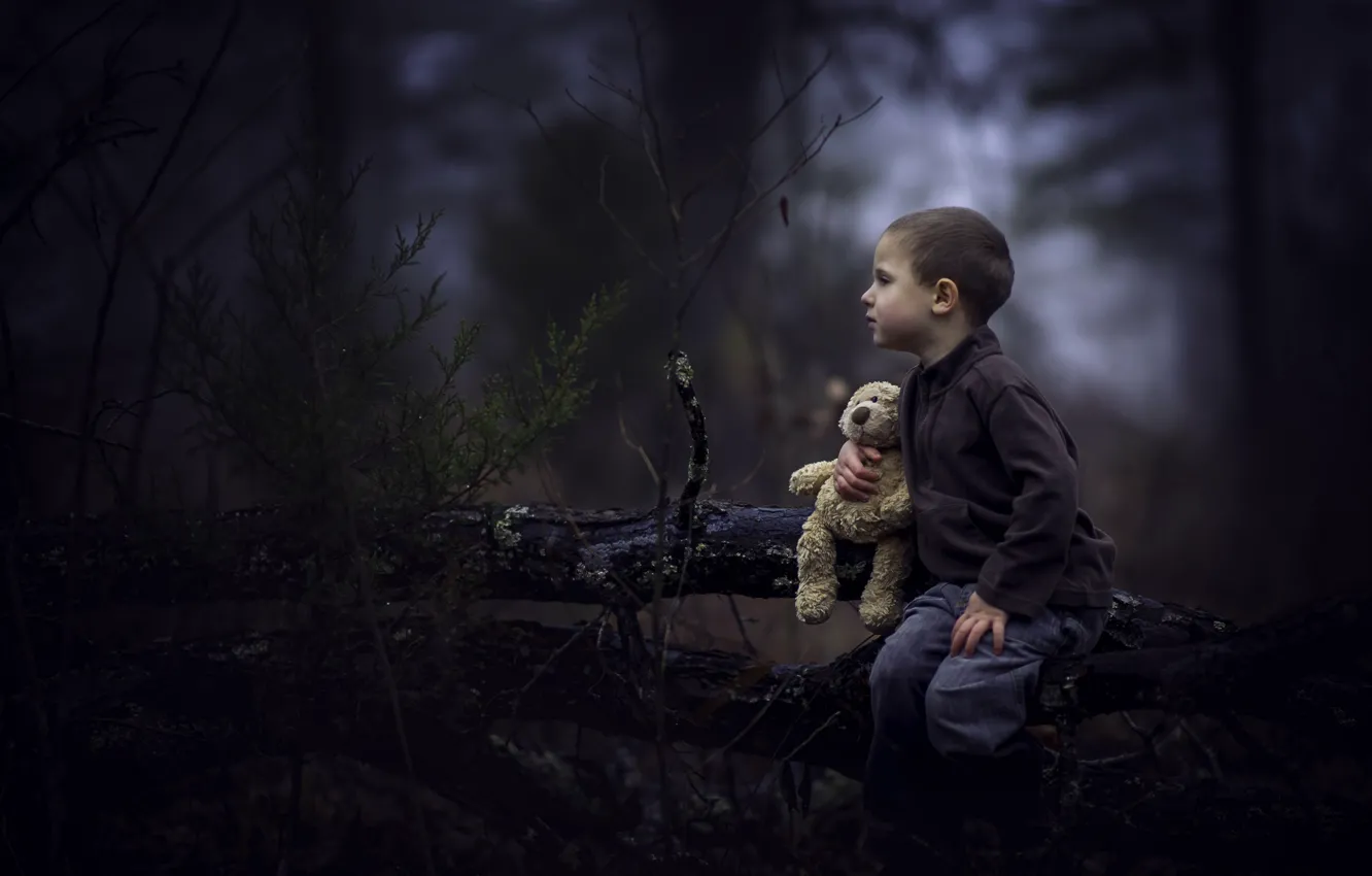 Photo wallpaper forest, toy, boy