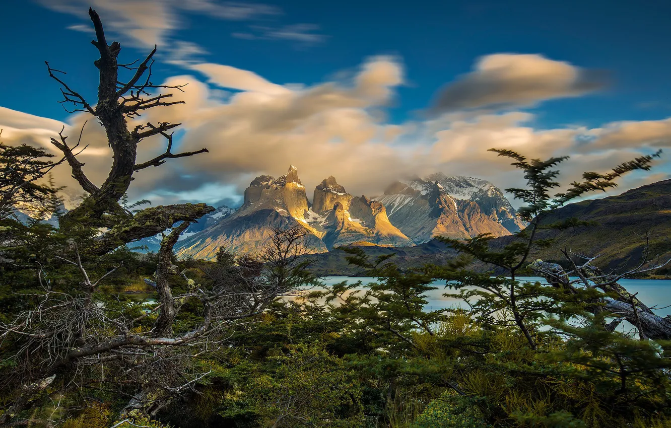Photo wallpaper clouds, mountains, tree, Chile, Patagonia, National Park Torres del Paine