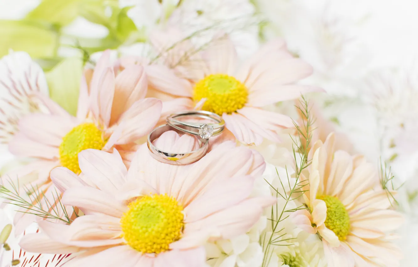 Photo wallpaper ring, wedding, Wedding