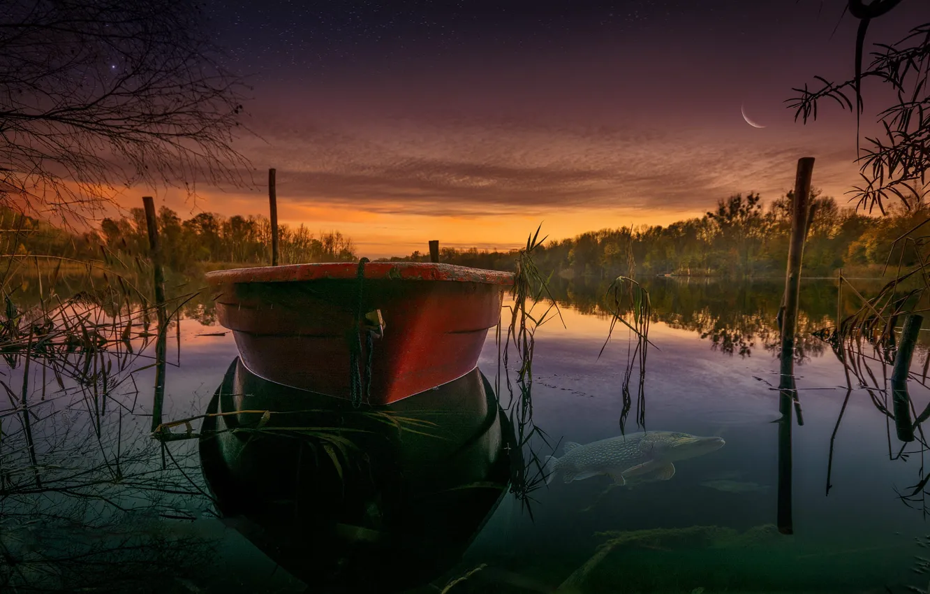 Photo wallpaper forest, grass, landscape, sunset, nature, lake, shore, boat