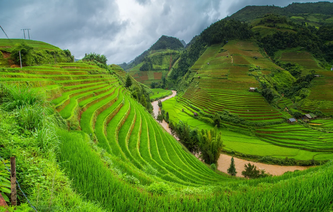 Photo wallpaper greens, grass, trees, mountains, houses, river, Vietnam, plantation