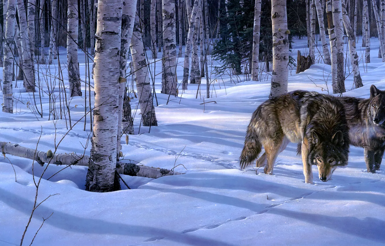 Photo wallpaper winter, forest, look, light, snow, trees, branches, traces