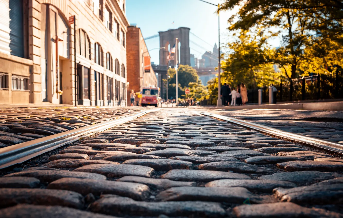 Photo wallpaper city, USA, road, trees, bridge, New York, NYC, park