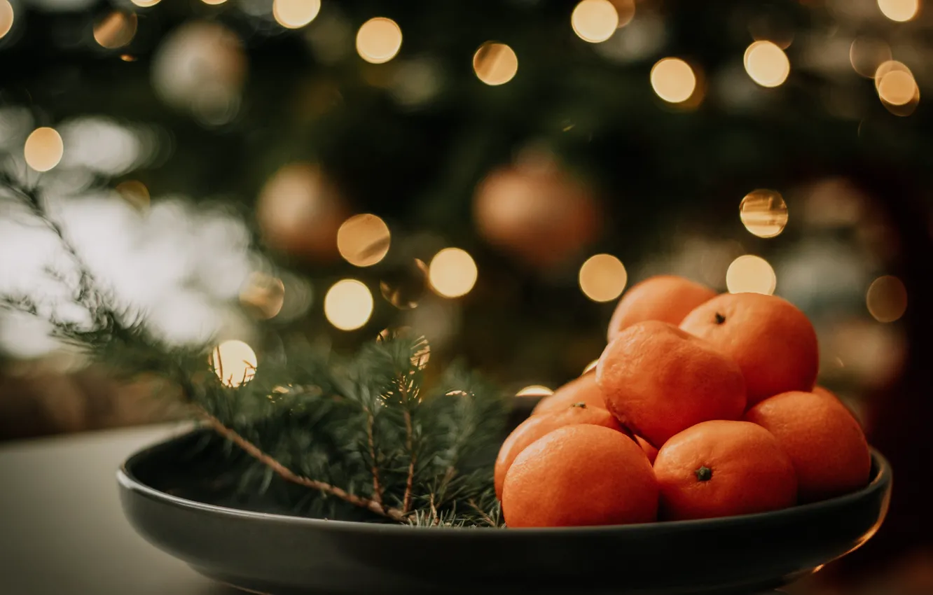 Photo wallpaper branches, lights, the dark background, holiday, new year, blur, plate, Christmas