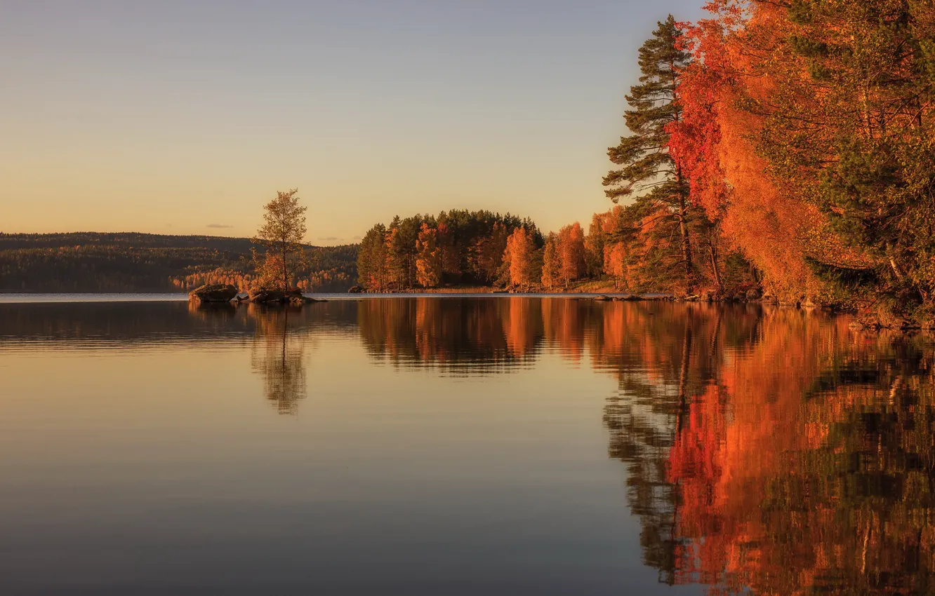 Photo wallpaper autumn, forest, the sky, trees, lake, reflection, shore, the evening