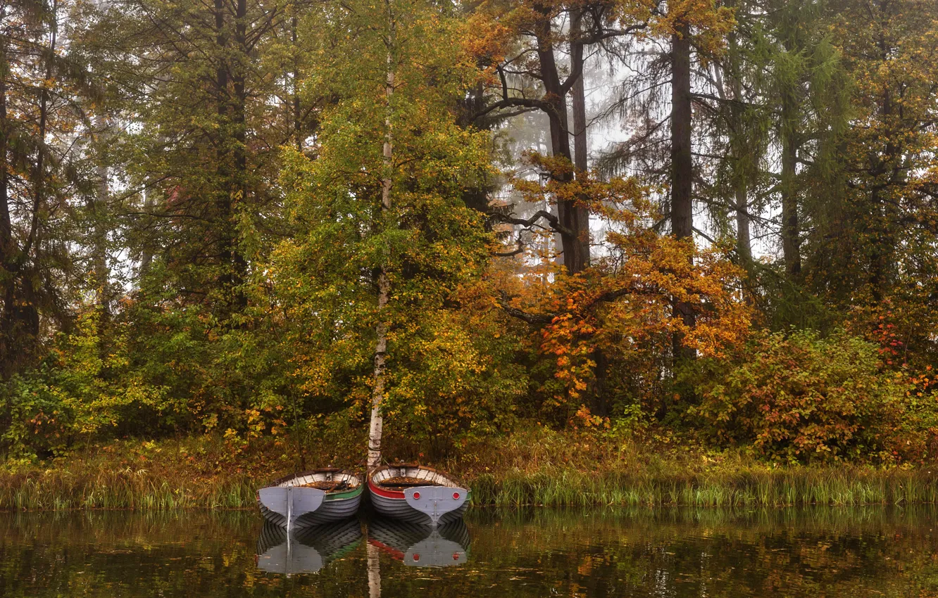 Photo wallpaper autumn, trees, fog, pond, Park, the reeds, boats, Saint Petersburg
