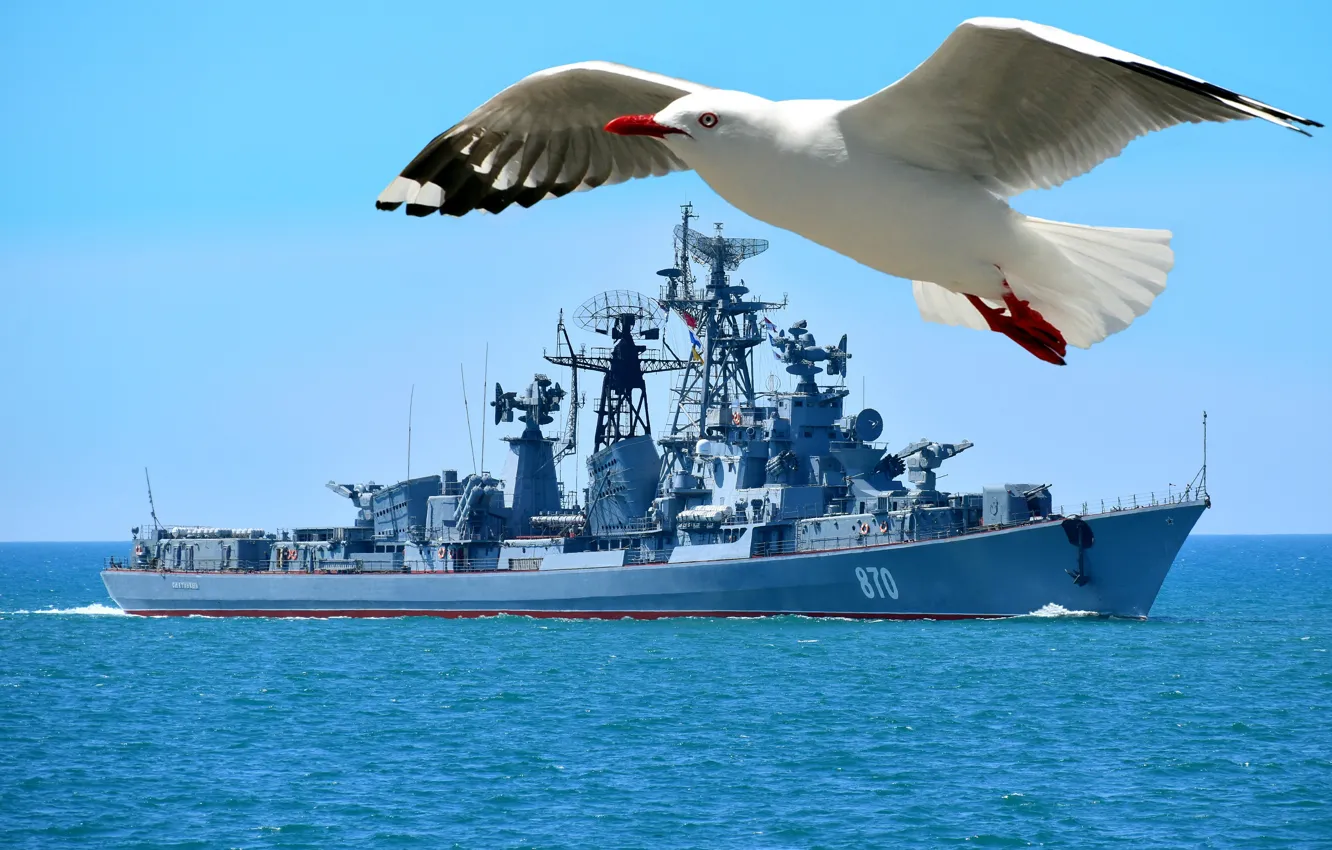 Photo wallpaper ship, seagulls, Quick-witted, guard