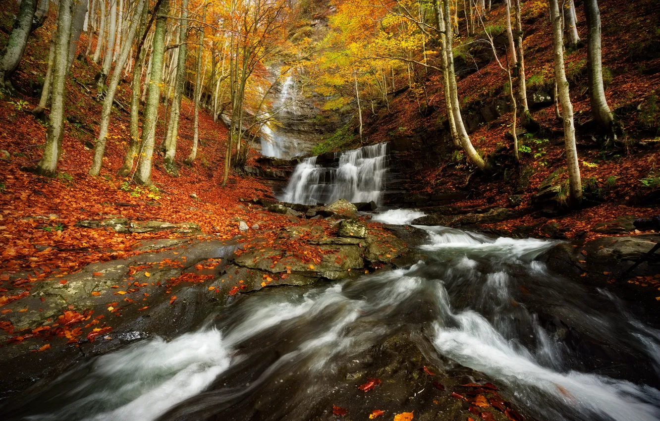 Photo wallpaper autumn, forest, trees, branches, stones, for, foliage, waterfall