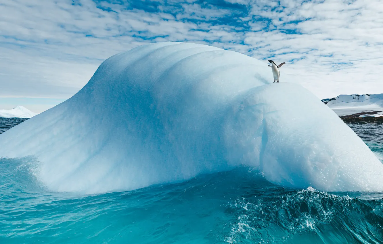 Photo wallpaper penguins, ice, hills, ice, winter, sea, wave, iceberg