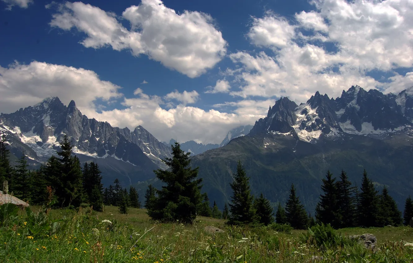 Photo wallpaper forest, summer, the sky, grass, clouds, flowers, mountains, tops