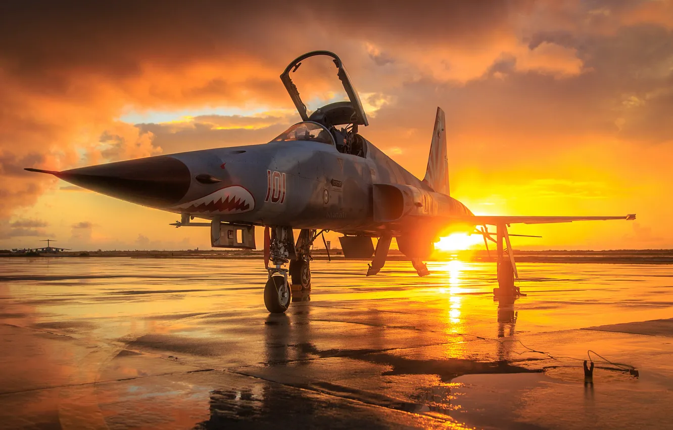Photo wallpaper weapons, the point, F-5N Tiger
