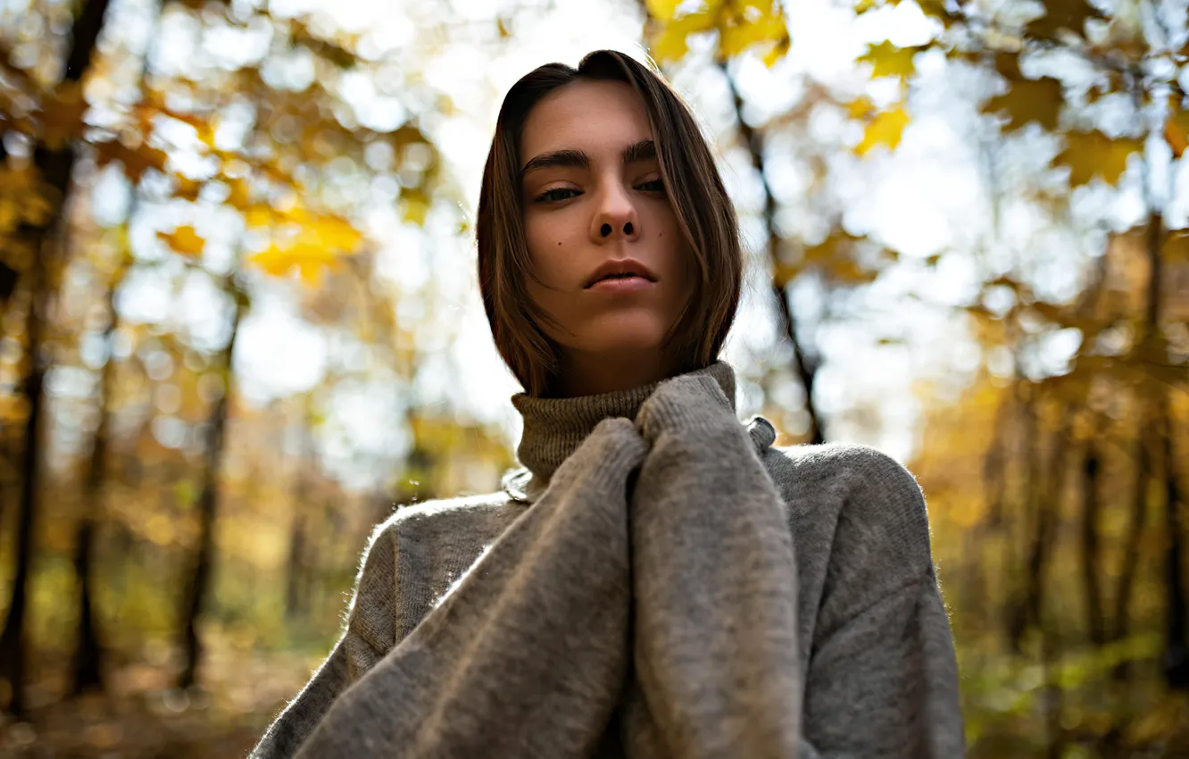 Photo wallpaper autumn, look, the sun, trees, model, portrait, makeup, hairstyle