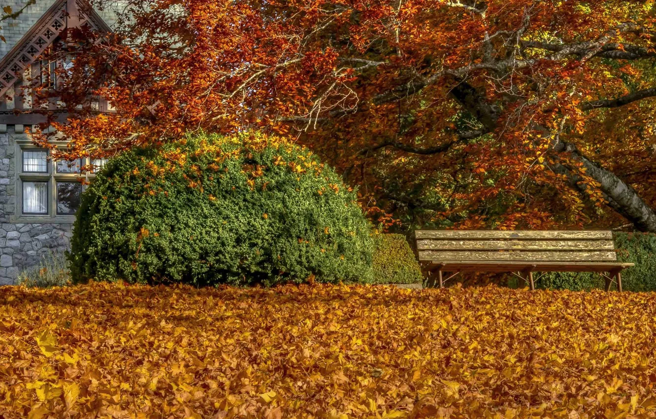 Photo wallpaper autumn, leaves, house, bench
