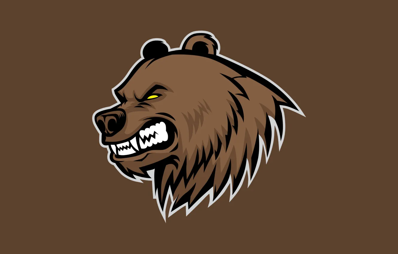 Photo wallpaper Wallpaper, bear, grin, graphics, wallpaper, bear, display background, angry bear