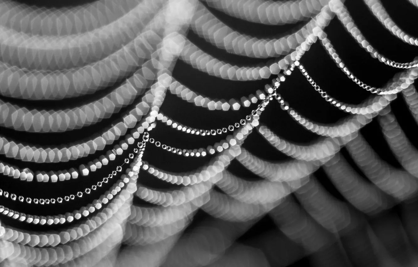 Photo wallpaper drops, macro, network, web