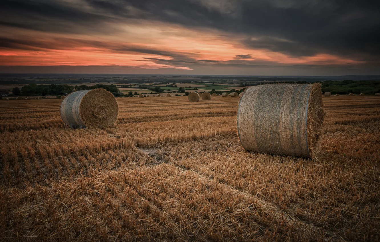 Photo wallpaper field, the sky, hay, bales, straw, stubble, Kip