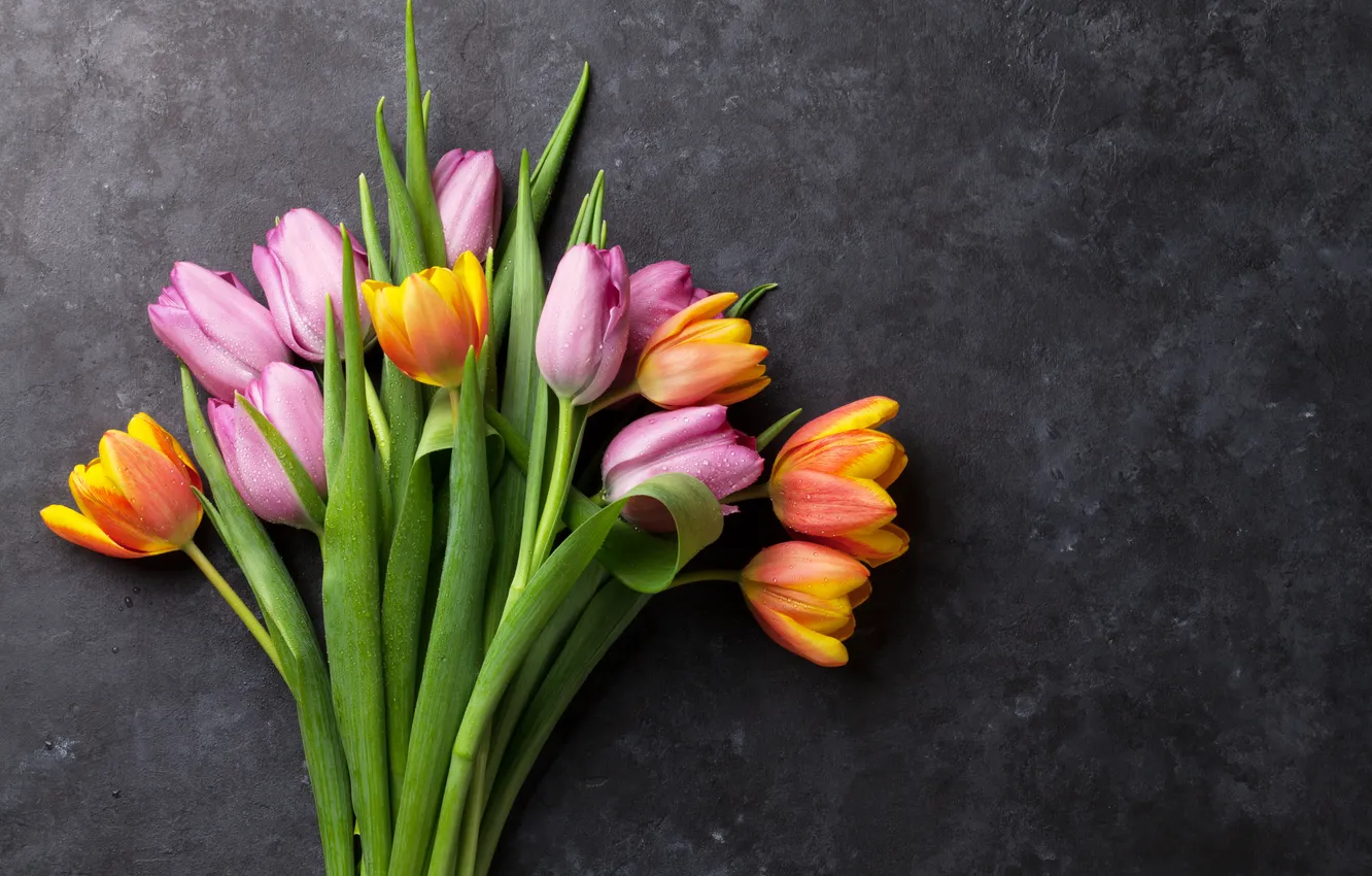 Photo wallpaper flowers, bouquet, colorful, tulips, pink, flowers, tulips, spring