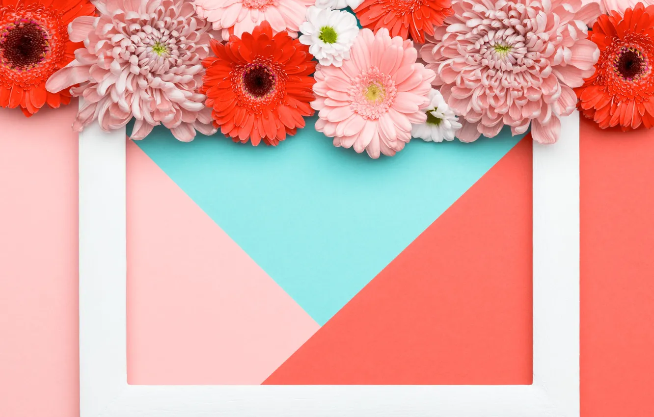 Photo wallpaper line, flowers, orange, background, pink, holiday, blue, triangles