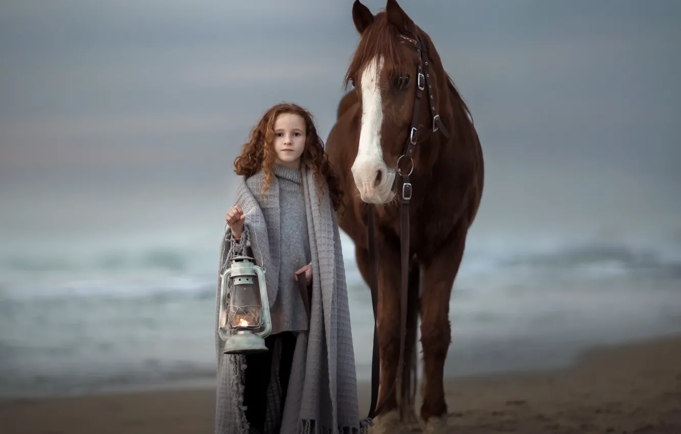 Photo wallpaper horse, girl, lantern