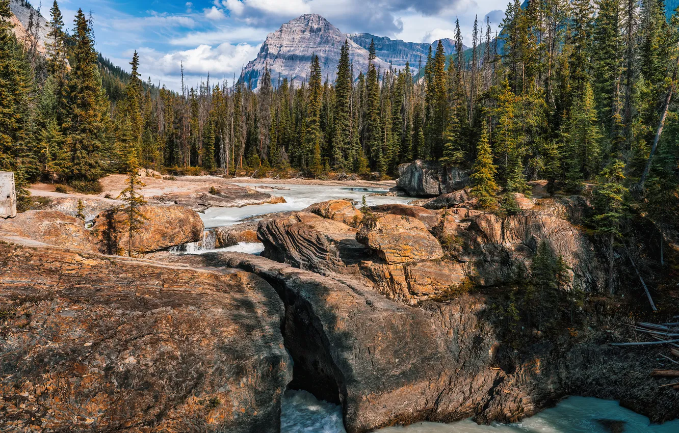Photo wallpaper mountains, river, rocks, Canada, Yoho National Park