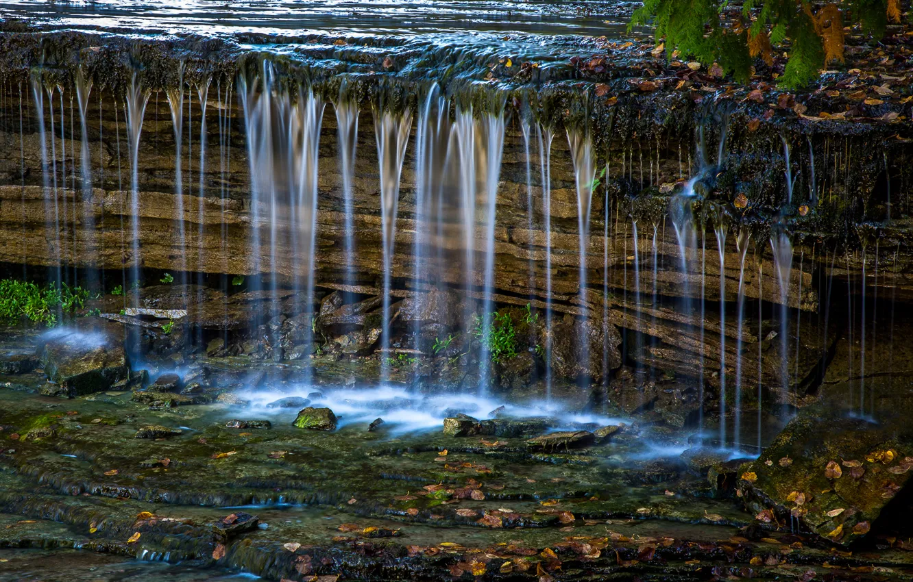Photo wallpaper autumn, leaves, stream, stones, waterfall, stream