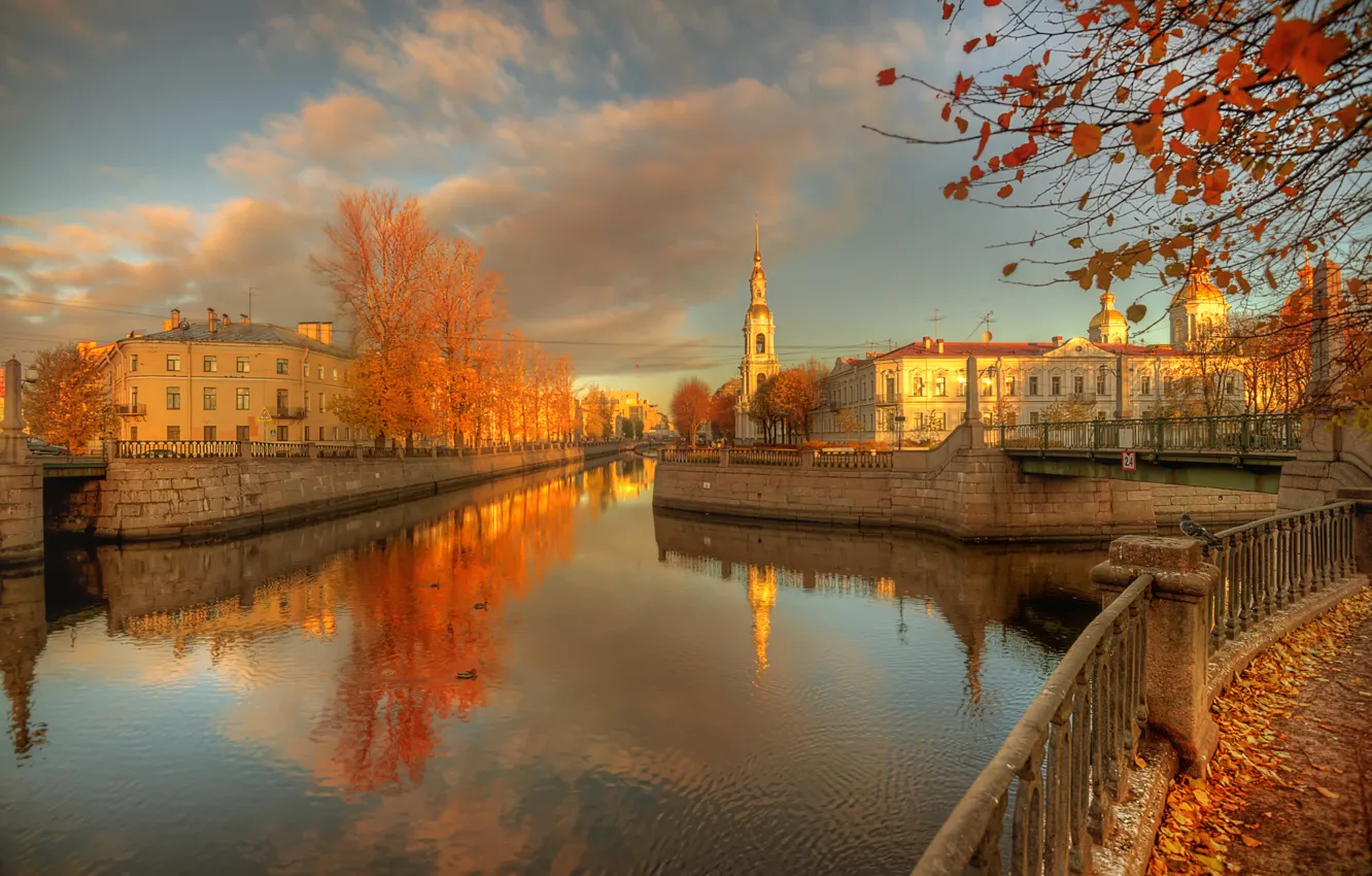 Photo wallpaper Saint Petersburg, Golden autumn, 2015, 30 Oct