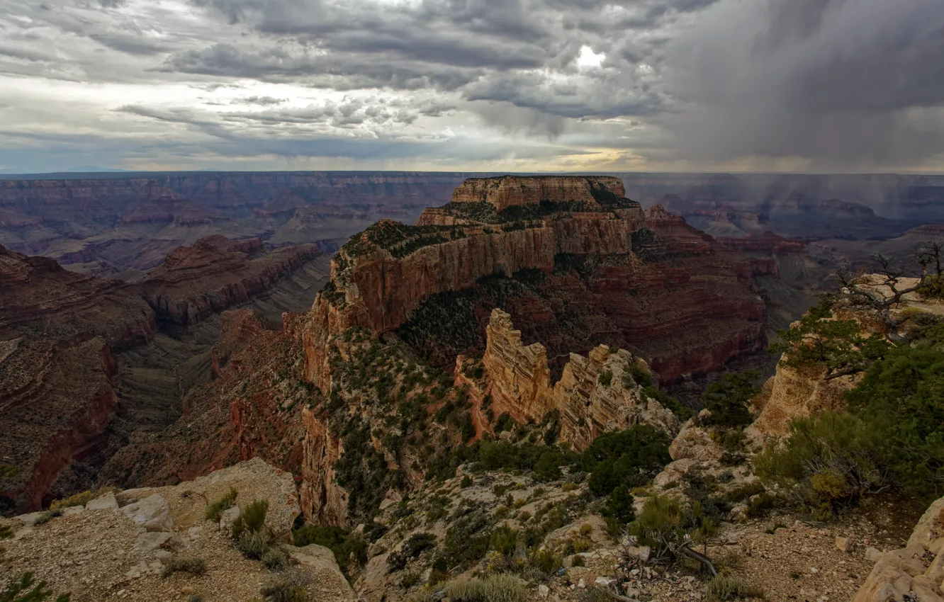 Photo wallpaper AZ, USA, Grand Canyon, National Park, North Rim
