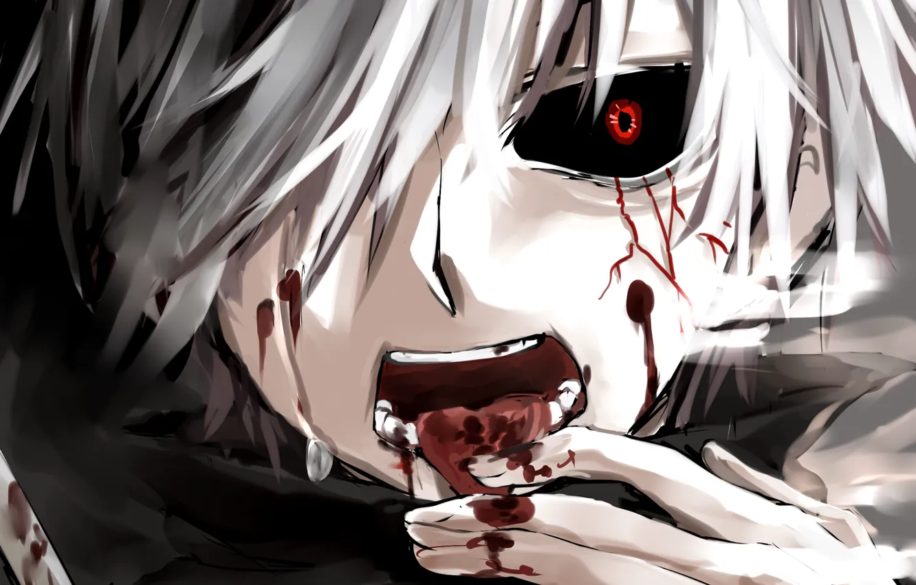 Photo wallpaper anime, art, Art, white hair, anime, red eye, Tokyo Ghoul, Ken Kanek