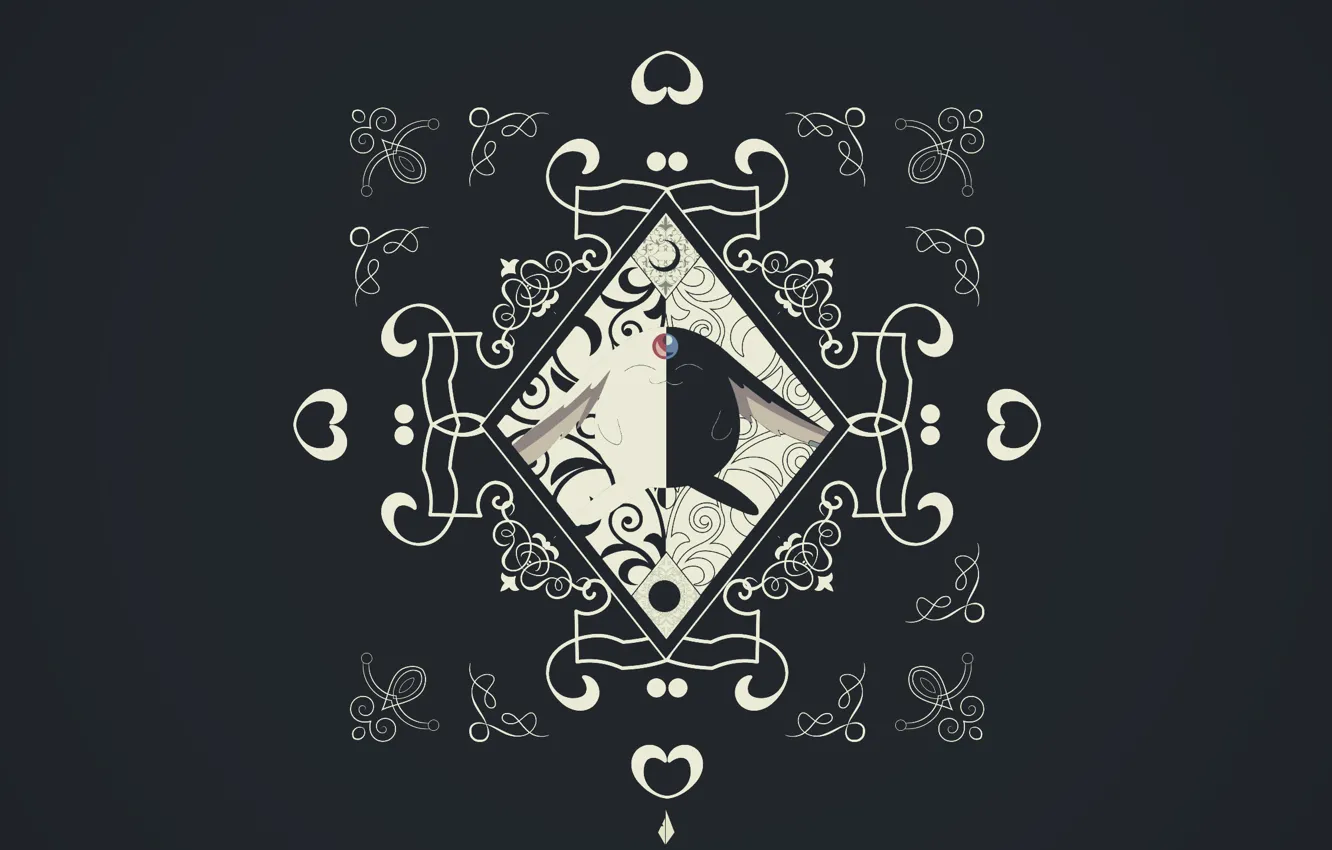 Photo wallpaper background, anime, art, xxxHolic, pet