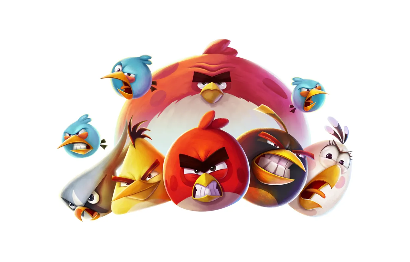 Photo wallpaper bird, Wallpaper, the game, white background, wallpaper, on the desktop, Angry Birds, Rovio