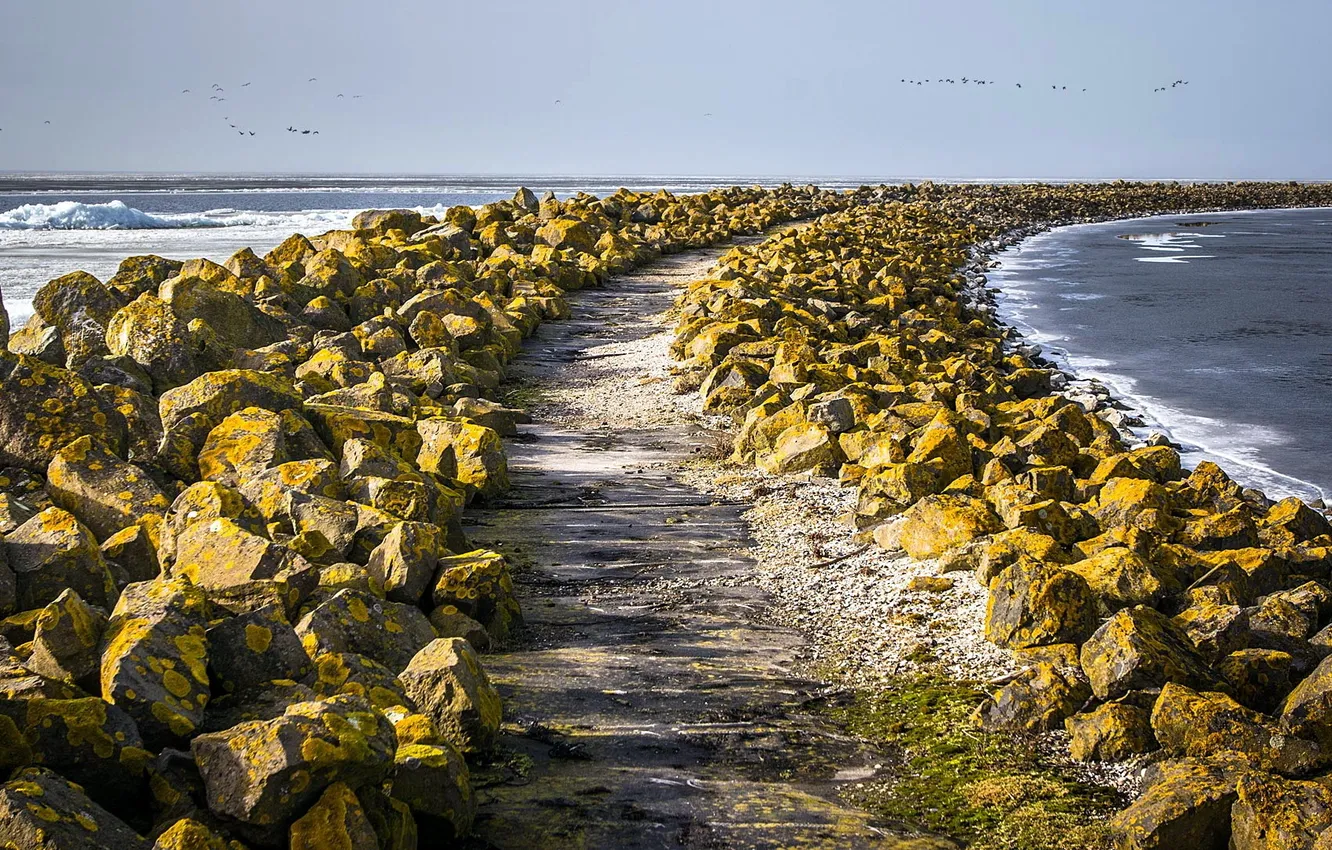 Photo wallpaper sea, landscape, stones