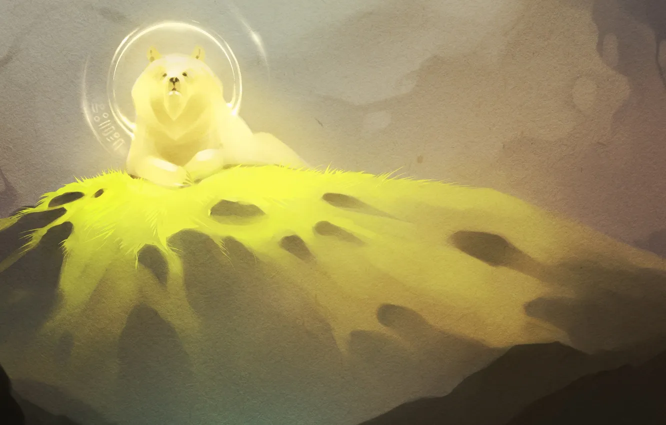 Photo wallpaper grass, look, light, mountains, bear