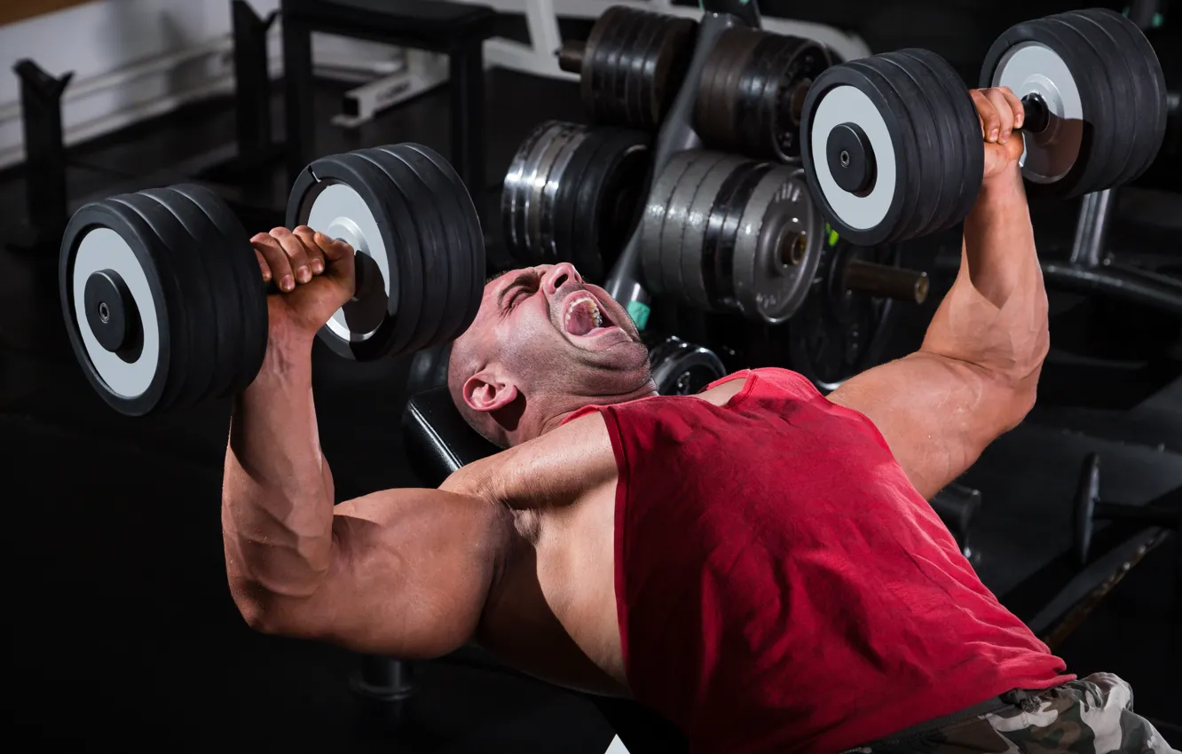 Photo wallpaper muscles, strength, dumbbell, bodybuilder