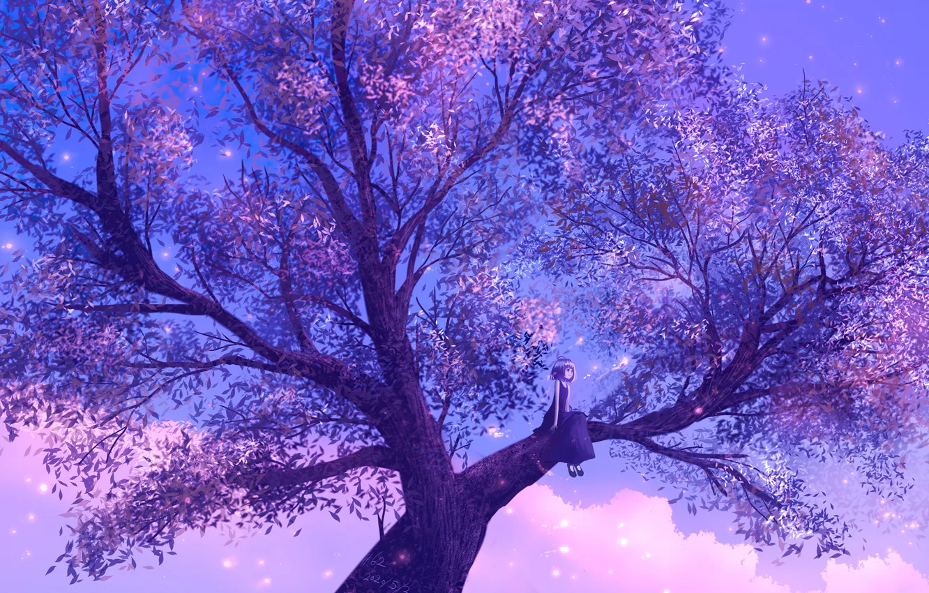 Photo wallpaper sunset, tree, the evening, girl, sitting on a branch